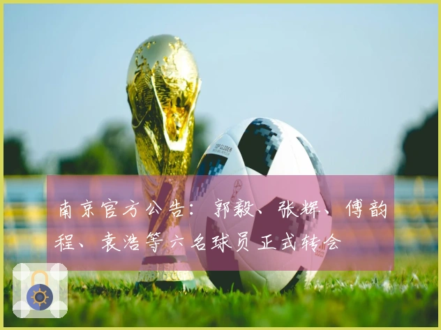 南京官方公告：郭毅、张辉、傅韵程、袁浩等六名球员正式转会